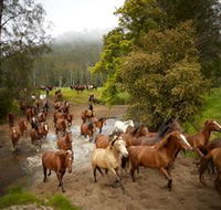 Glenworth Valley Horse Riding - Attractions