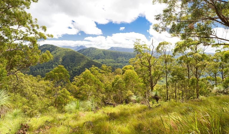 Sawpit Creek ACT Attractions