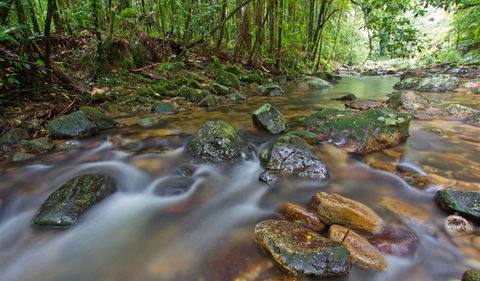 Toonumbar National Park - Attractions 1