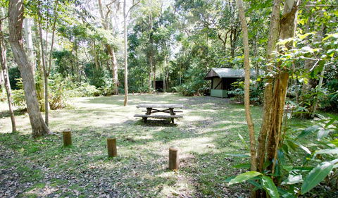 Toonumbar National Park - Attractions 3
