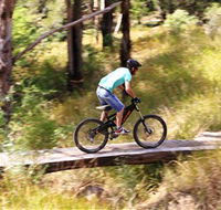 The Steps Mountain Bike Park - Attractions