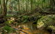 Palm Grove Nature Reserve - thumb 0