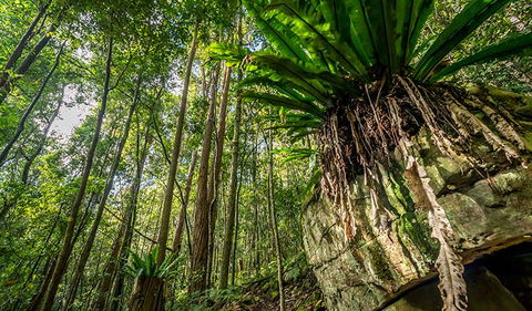 Palm Grove Nature Reserve - Attractions 1