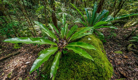 Palm Grove Nature Reserve - Attractions 2