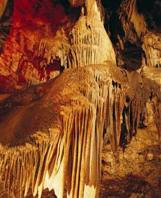 Buchan Caves Reserve - Attractions 0