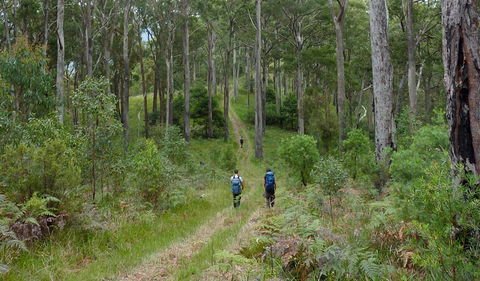 The Green Gully Track - Attractions Las Vegas 0