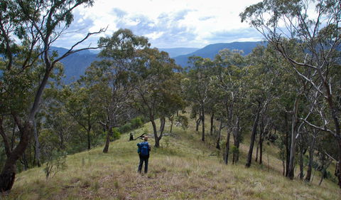 The Green Gully Track - Attractions Las Vegas 1