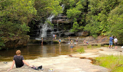 Somersby Falls Picnic Area - Attractions 0