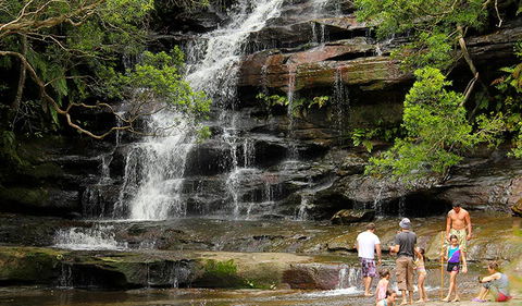 Somersby Falls Picnic Area - Attractions 2