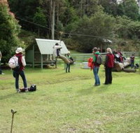 Forest of Tranquillity - Australian Rainforest Sanctuary - See Attractions