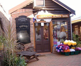 Australian Alpaca Barn - Morpeth - Attractions 0