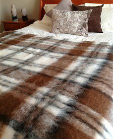 Australian Alpaca Barn - Morpeth - Attractions 2