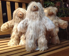 Australian Alpaca Barn - Morpeth - Attractions 3