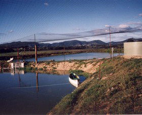 Trudgalong Farm - Attractions 1