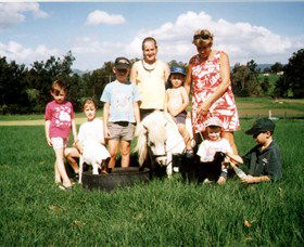 Trudgalong Farm - Attractions 2