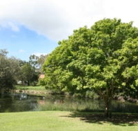 Hervey Bay Botanic Gardens - Attractions