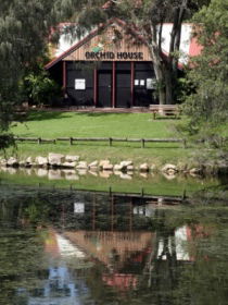 Hervey Bay Botanic Gardens - Attractions 1