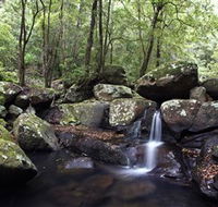 Kangaroo River - Attractions