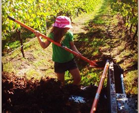 East Gippsland Wines - Attractions 5