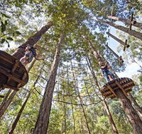 TreeTop Adventure Park Central Coast - Attractions