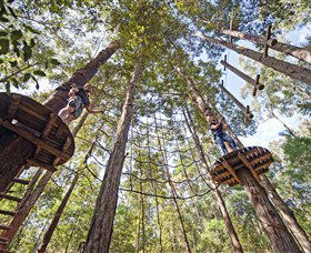 TreeTop Adventure Park Central Coast - Attractions 0