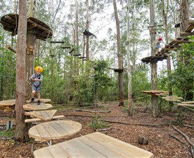 TreeTop Adventure Park Central Coast - Attractions 1