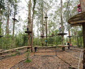 TreeTop Adventure Park Central Coast - Attractions 5