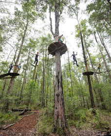 TreeTop Adventure Park Central Coast - Attractions 4