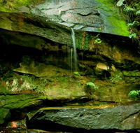 Strickland State Forest - Attractions