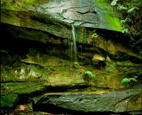 Strickland State Forest - Attractions 0