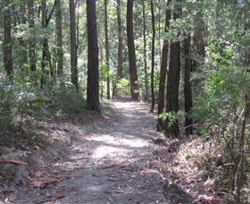 Strickland State Forest - Attractions 2