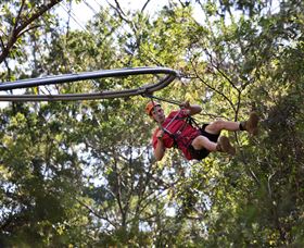 TreeTops Crazy Rider - Attractions 1