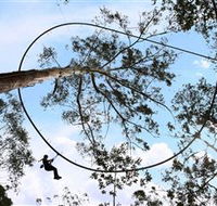 TreeTops Crazy Rider - Attractions