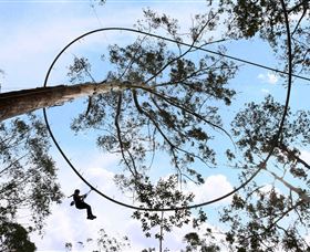 TreeTops Crazy Rider - Attractions 0