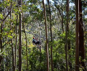 TreeTops Crazy Rider - Attractions 3