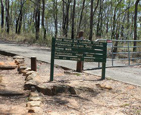 Wild Horse Mountain Lookout - Attractions 0