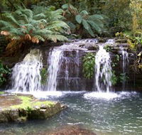 Barrington Tops National Park Walks - Attractions