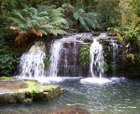 Barrington Tops National Park Walks - Attractions 0