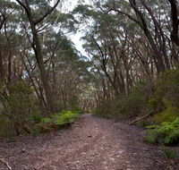 Budawang National Park - Attractions