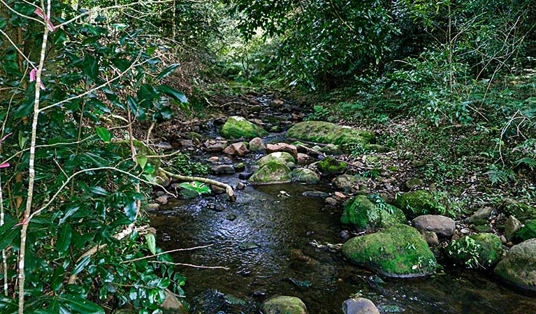 Macquarie Pass NSW Attractions