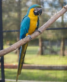 Amazement Farm And Fun Park / Cafe And Farmstay Accommodation - Attractions 8