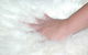 Mortels Sheepskin Factory - thumb 4