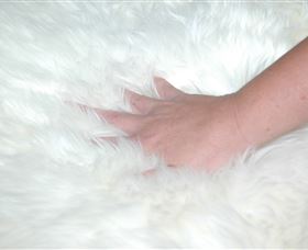 Mortels Sheepskin Factory - Attractions 4