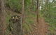 Border Loop Walk - thumb 0