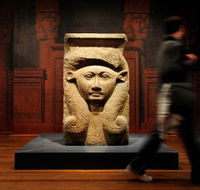 Nicholson Museum - Attractions