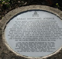 Anzac Memorial Avenue Redcliffe - Attractions