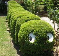 Nutcote - May Gibbs' Home - House Museum - Attractions