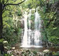 Budderoo National Park - The Falls Walk - Attractions
