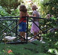 EG Waterhouse National Camellia Garden - Attractions