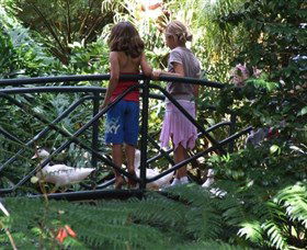 EG Waterhouse National Camellia Garden - Attractions 0